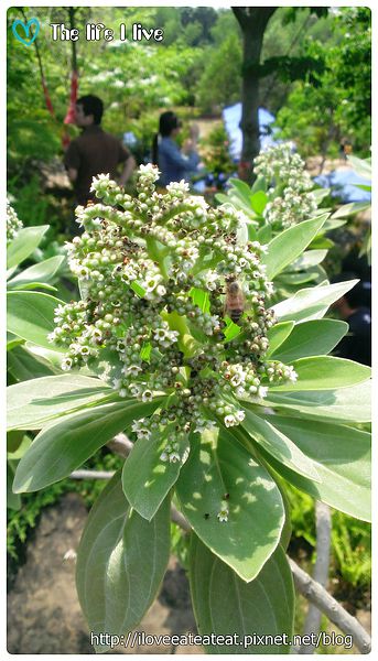 2014-04-12 13.09.14.jpg