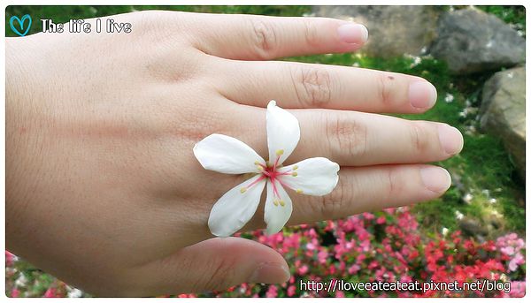 2014-04-12 12.45.33.jpg