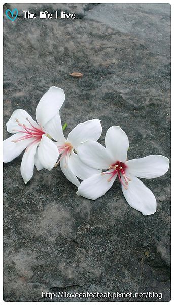 2014-04-12 13.20.46.jpg