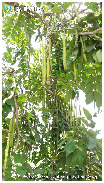 2014-04-12 12.24.29.jpg