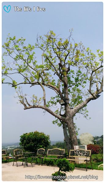 2014-04-12 13.34.56-1.jpg