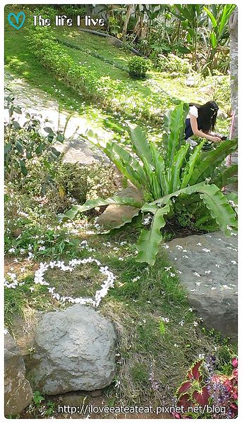 2014-04-12 12.45.06.jpg