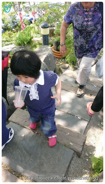 2014-04-12 13.14.41.jpg