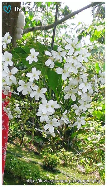 2014-04-12 13.09.39.jpg