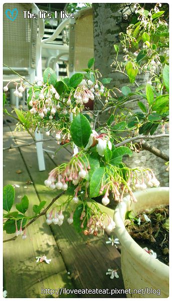 2014-04-12 13.05.26.jpg