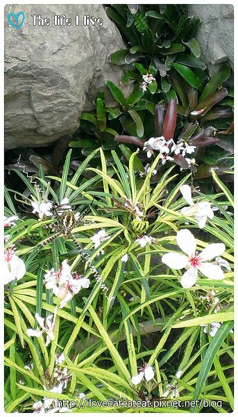 2014-04-12 12.38.47.jpg