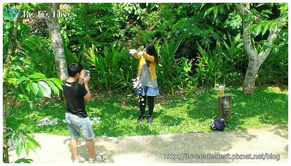 2014-04-12 12.52.08-4.jpg