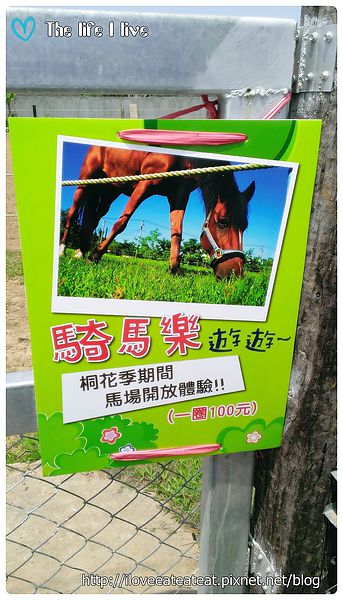 2014-04-12 12.23.27.jpg