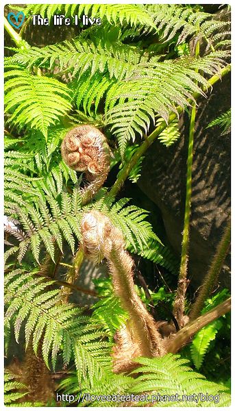 2014-04-12 13.20.03.jpg