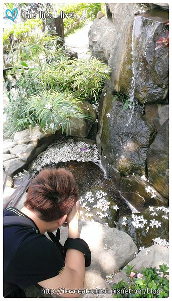 2014-04-12 12.38.04.jpg