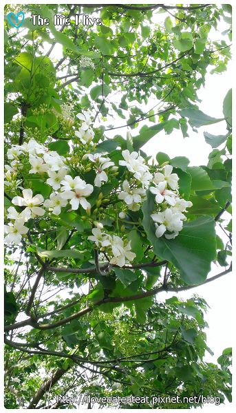 2014-04-12 13.10.32.jpg