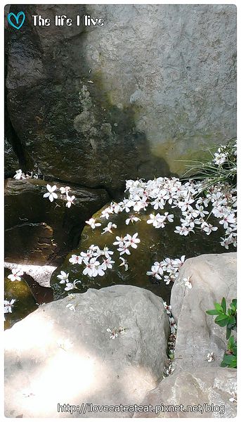 2014-04-12 12.36.53.jpg