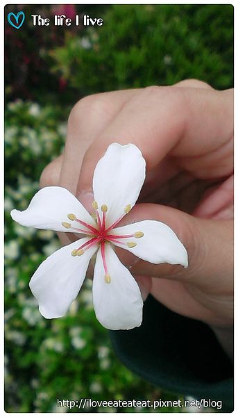 2014-04-12 12.44.59.jpg