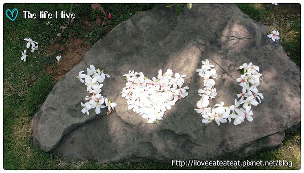 2014-04-12 13.11.06.jpg