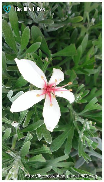 2014-04-12 12.41.08.jpg