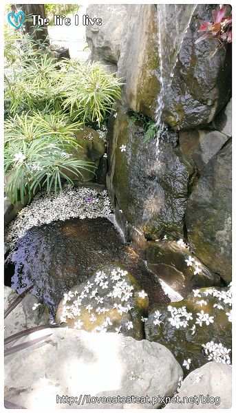 2014-04-12 12.37.21.jpg