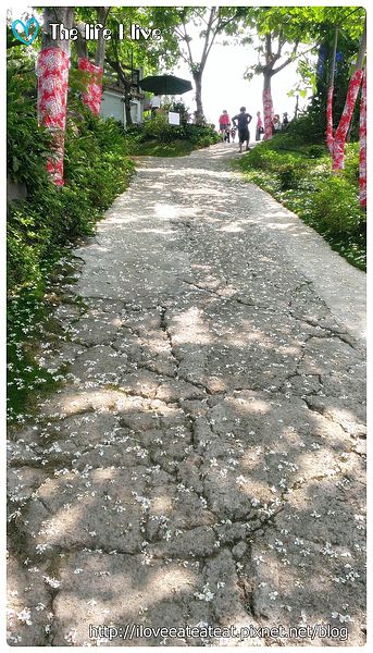 2014-04-12 12.36.28.jpg