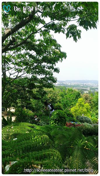 2014-04-12 13.18.18.jpg