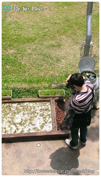 2014-04-12 13.00.59.jpg