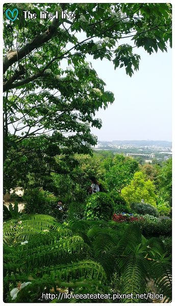 2014-04-12 13.18.16.jpg