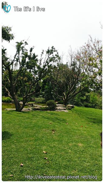 2014-04-12 12.56.31.jpg