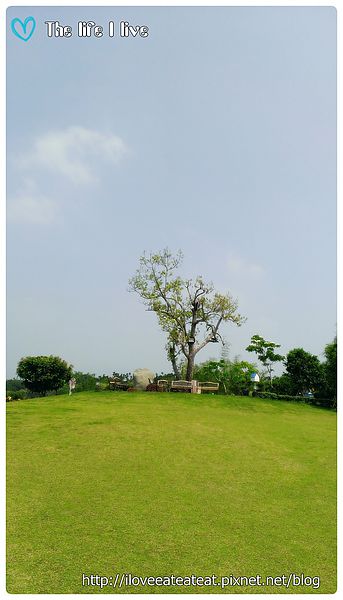 2014-04-12 13.33.04.jpg