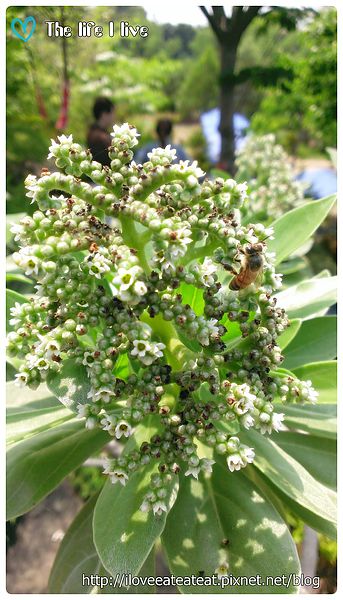 2014-04-12 13.09.23.jpg