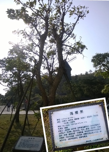 伯朗咖啡館(頭城城堡咖啡館):Enjoy the food, the scenery and the castle,宜蘭深林中的歐式城堡——Mr.Brown頭城城堡店