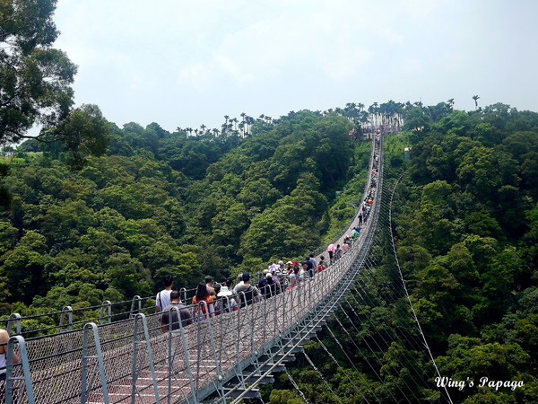 溪頭妖怪村：小心妖怪就在你身邊。溪頭松林町妖怪村