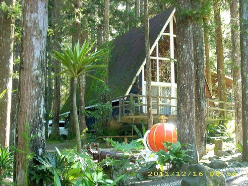 溪頭妖怪村：妖怪村好好玩2011(一)