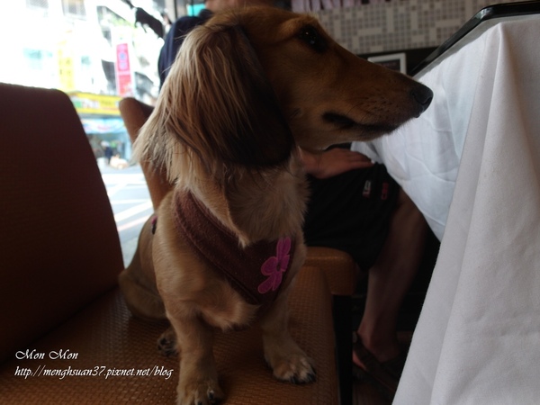 餅乾缺一角cookies missing:《口碑券。十七彈》樂活美食:與心愛的狗狗一同享用~【餅乾缺一角】