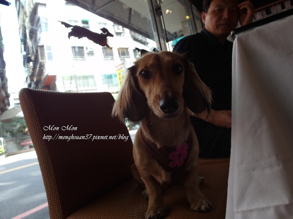 餅乾缺一角cookies missing:《口碑券。十七彈》樂活美食:與心愛的狗狗一同享用~【餅乾缺一角】