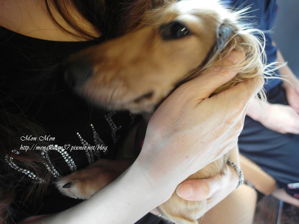 餅乾缺一角cookies missing:《口碑券。十七彈》樂活美食:與心愛的狗狗一同享用~【餅乾缺一角】