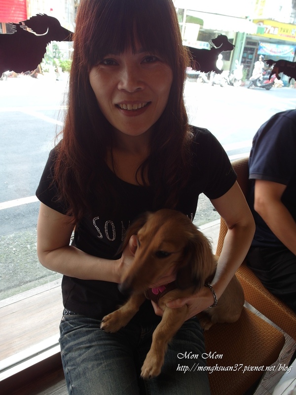 餅乾缺一角cookies missing:《口碑券。十七彈》樂活美食:與心愛的狗狗一同享用~【餅乾缺一角】