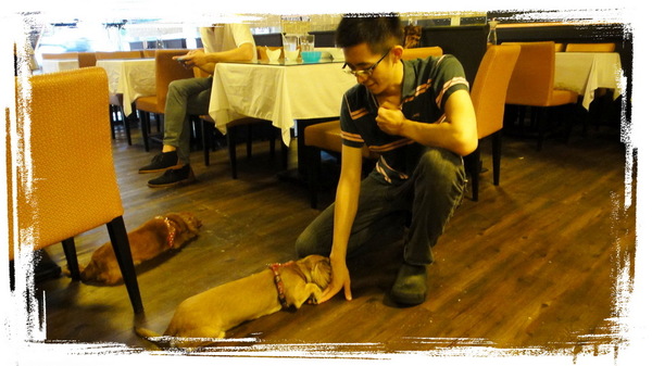 餅乾缺一角cookies missing：【口碑券31】慶祝滿100篇之讓人捨不得離開的寵物餐廳〞餅乾缺一角 〞