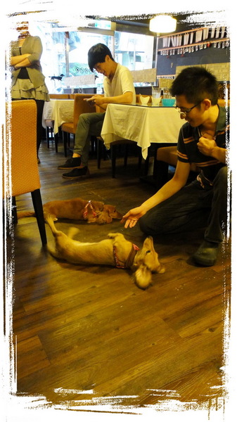 餅乾缺一角cookies missing：【口碑券31】慶祝滿100篇之讓人捨不得離開的寵物餐廳〞餅乾缺一角 〞