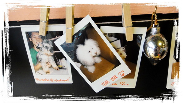 餅乾缺一角cookies missing：【口碑券31】慶祝滿100篇之讓人捨不得離開的寵物餐廳〞餅乾缺一角 〞