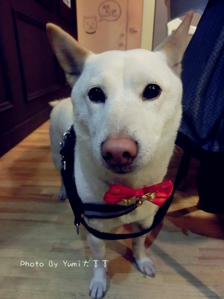 cm20150303___6455241b6b469d2ca25c5bf5713