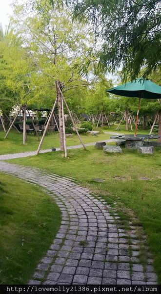 11760254_10201111790473980_5402368650738254590_n