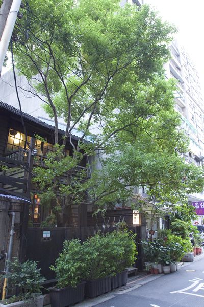 綠島小夜曲前三訪-38