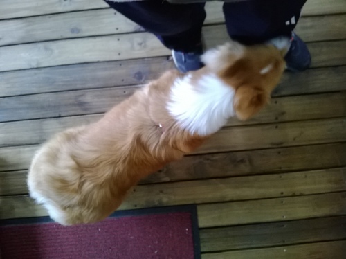 Pillow Cafe:懶洋洋的枕頭世界 ——Pillow Café