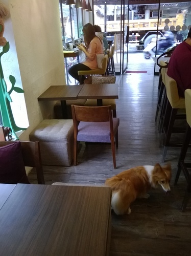 Pillow Cafe:懶洋洋的枕頭世界 ——Pillow Café