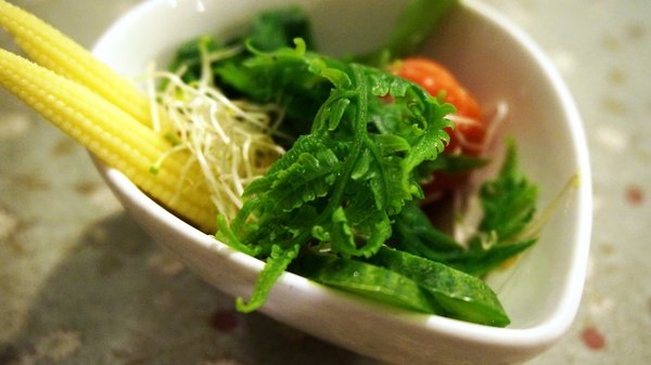 啄木鳥的家CASA：花蓮光復糖廠 - 啄木鳥的家CASA