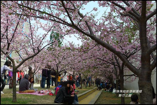 新竹公園43.JPG