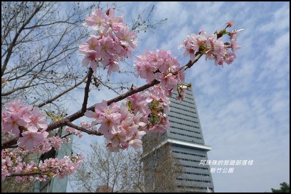 新竹公園47.JPG