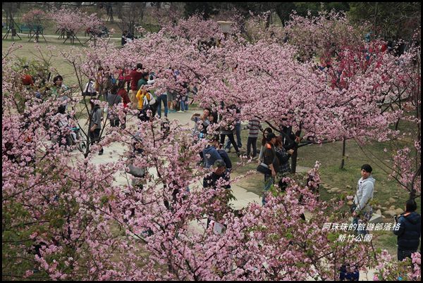 新竹公園28.JPG