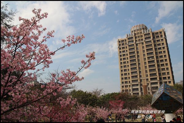 新竹公園37.JPG
