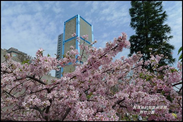 新竹公園45.JPG