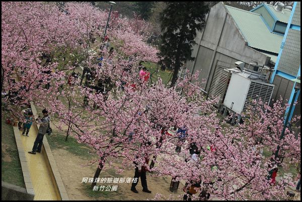 新竹公園29.JPG