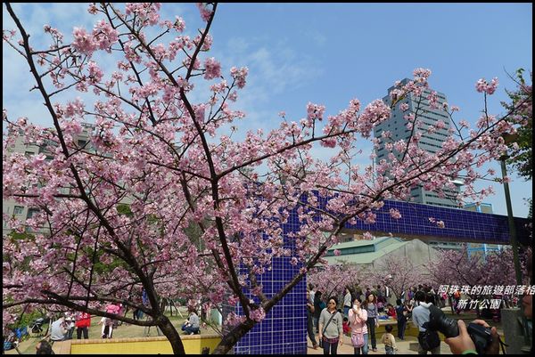 新竹公園40.JPG